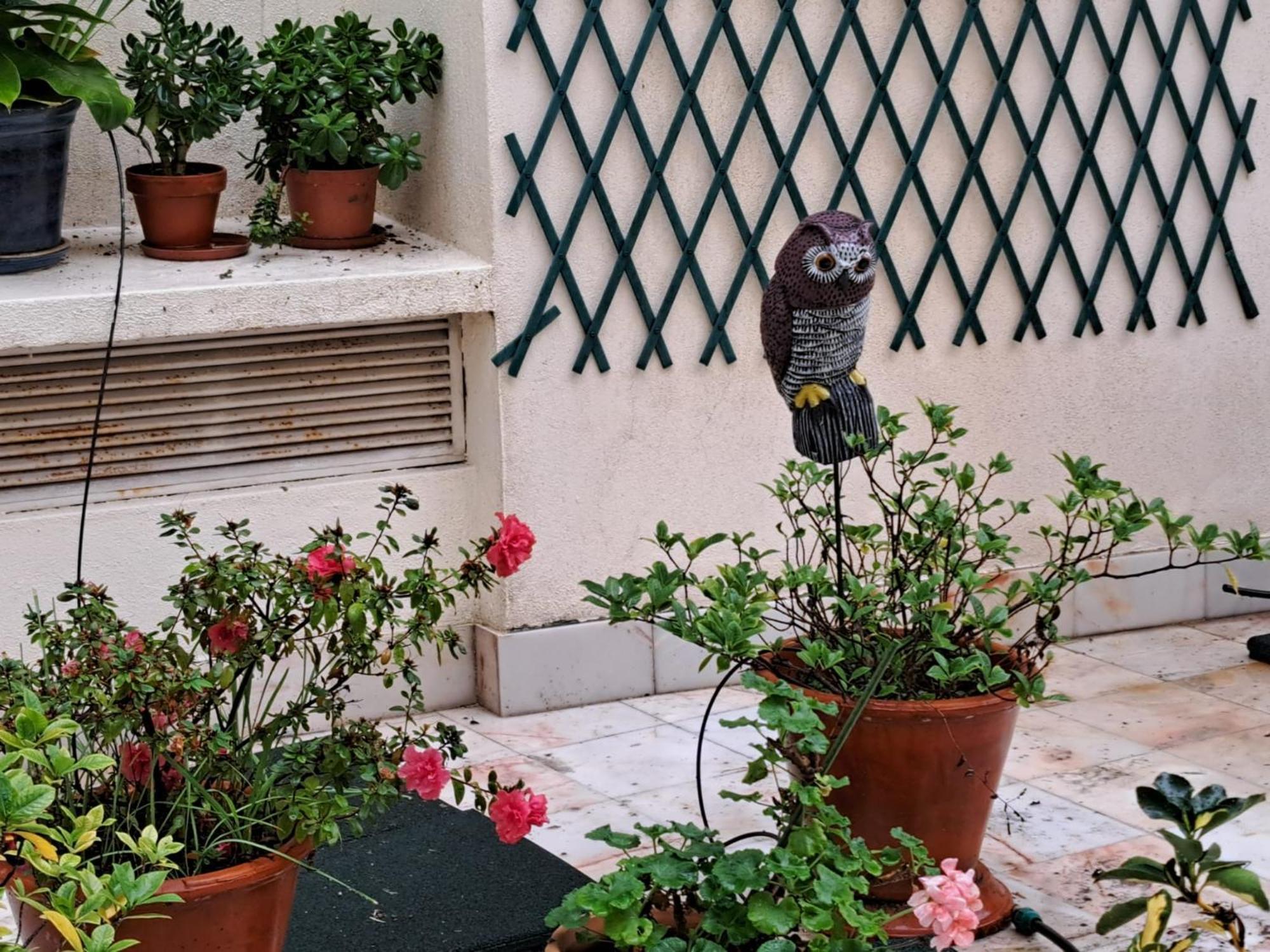 Sunny Green Terrace Lisboa Ngoại thất bức ảnh