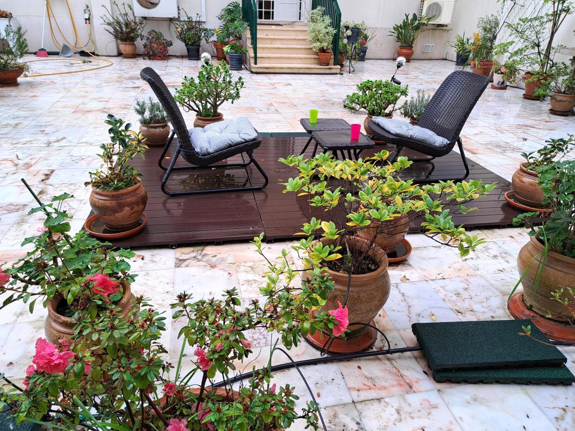 Sunny Green Terrace Lisboa Ngoại thất bức ảnh