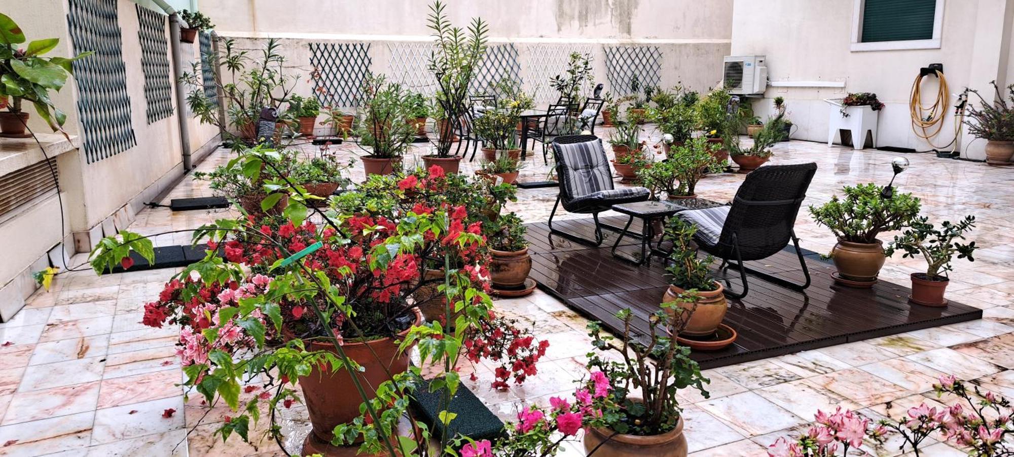 Sunny Green Terrace Lisboa Ngoại thất bức ảnh